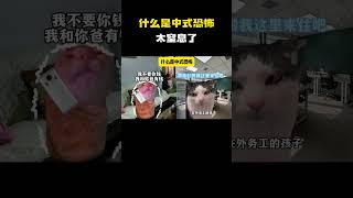 什么是'中式恐怖' #猫meme #内容过于真实 #funny