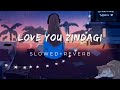 Love You Zindagi- [slowed+reverb]  | Gauri S | Alia | Shah Rukh | Amit | Kausar M | Jasleen R