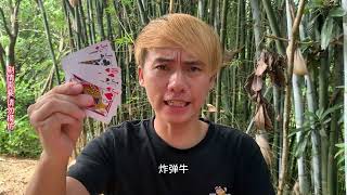 搞笑：小伙拿糖果玩牛牛，葫芦牛遇上五小牛，结局万万没想到