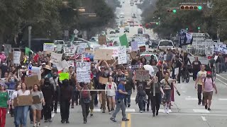 Texas capitol protest march of many aimed at Trump policies