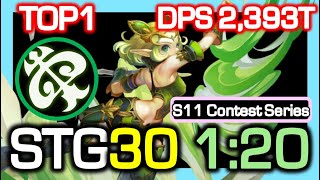 [S11 TOP1] Tempest STG30 1:20 Rotation / DPS 2,393 Trillion / Dragon Nest China