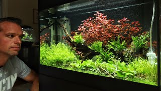 30 gallon Aquascape - 3 week update - Cinematic