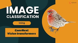 Image Classification using ConvNext | Image transformers tutorial