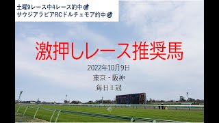 【競馬】毎日王冠　予想　2022年10月9日推奨レース＆推奨馬