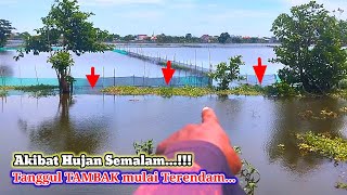 AKIBAT HUJAN BADAI KEMARIN,,!!! TAMBAK LAMONGAN MULAI TERENDAM BANJIR #fishing #mancingliarlamongan