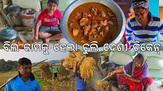 ବିଲ କାମକୁ ହେଲା ଗାଁ ଚୁଲି ଦେଶୀ ଚିକେନ୍ l Chicken Jhola l Gouranga Nayak Odia Vlogs