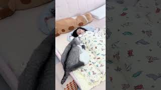 陪睡之争向来如此😅两只猫抢着陪幼崽睡觉猫和孩子 猫咪带娃 心思全写在脸上的猫 猫咪的爱 猫咪争宠