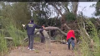 113年10月20日   永鴻隆船隊   奉何清吉理事長指示   配合苗栗刑警大隊   國道133 K後龍山區   剷除鴿網