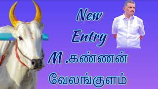 புதுவரவு M .கண்ணன் வேலங்குளம் || புது பாண்டியபுரம் to வேலாங்குளம் || ரேக்ளா மாநில தலைவர் new entry