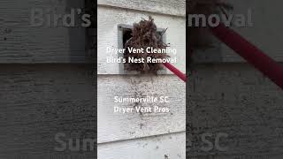 Dryer Vent Cleaning Summerville SC - Bird’s Nest Removal - Dryer Vent Pros