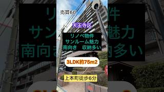 3LDK73.87m2フルリノベーション物件！南向き😊両面バルコニー眺望良好です！魅力のサンルーム収納多数上本町徒歩6分鶴橋駅徒歩6分味原小学校徒歩6分高津中学校徒歩11分