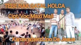 TEBE NAK GATAL HOLCA-By-Maxi Mali-Maxi Mali Channel (MMC) Malaka