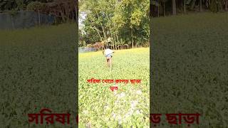 সরিষা খেতে কাপড় ছাড়া ভূত #fouryou #vairalvideo #funny #comedy #unfrezzmyaccount