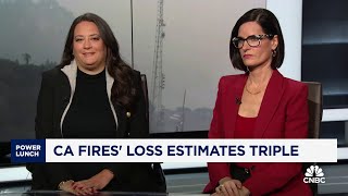 California wildfires will be a $20 billion plus loss for insurers: Wells Fargo's Elyse Greenspan