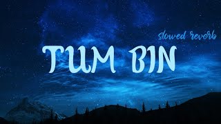 Tum Bin ( Slowed Reverb ) | Tum Bin Jiya Jaye Kaise - K. S. Chithra