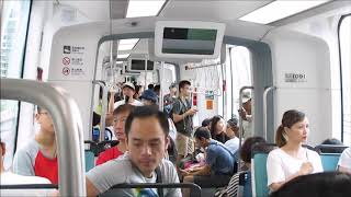 Tram in New Taipei City - light rail - Strassenbahn - Villamos - רכבת קלה