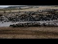 mara river crossing 2016