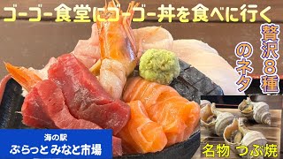 ゴーゴー食堂にゴーゴー丼を食べに行く【ゆきぼうが食べまくる】贅沢８種のネタ　名物 つぶ焼