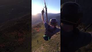 Ozone Dragonfly on Mt Mohogany