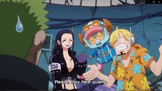 Robin,Sanji and Chopper stops Zoro to go find Vegapunk in egghead