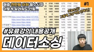 데이터로 소싱하기! 10배 더 효율내는 소싱법 공개/ 초보라면 이대로만 따라하세요