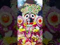 Se Gauda Pua Taku Lahuni Dia Odia Jagannath Bhajan Lyric Status Video....Kumar Bapi....Jai Jagannath