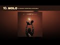 Molo - Dj Jaivane  Ft. Swiss Wrld & KayMo Grillz (Audio Visualizer)