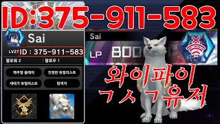 유희왕 마듀! 와이파이 컷 유저! 박제 375-911-583