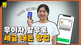 세금도 카드 할부 가능한가요?