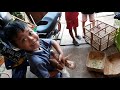 Unboxing dan Tes Terbang Merpati Baru Bersama Merpatiboy Part1