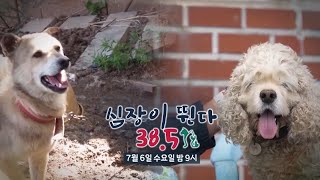 [심장이 뛴다 38.5 예고] ＜댕댕병원 in 주문도＞ 심장이 뛴다 38.5 9회 예고, MBC 220706 방송