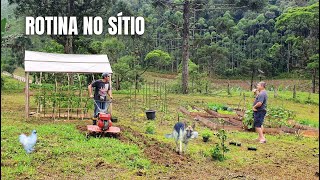 ROTINA NO SÍTIO: DEPOIS DESSE ESTRAGO TEREI QUE TOMAR UMA ATITUDE