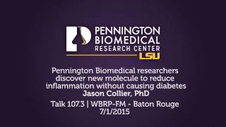 Pennington Biomedical researchers discover new molecule to reduce inflammation w/o causing diabetes