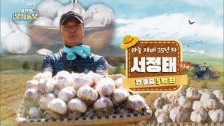 [Episode 202] Annual sales of 500 million won by operating a garlic farm!! 'Seo Jeong-tae'