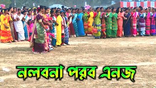 New santali video 2025 | নলবনা পরব এনজ ২০২৫