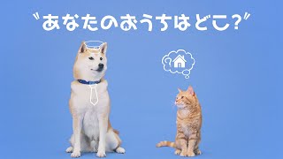 犬、猫へのマイクロチップ装着の制度化（令和4年6月1日から）