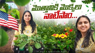అక్కడ మన మొక్కలన్నీ అయిపోయాయి | Telugu Vlogs from USA | America Vegetable Garden tips NRI shopping