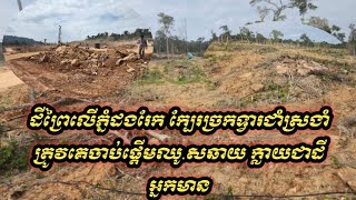 ​ដីព្រៃលើភ្នំដងរែក ក្បែរច្រកទ្វារជាំស្រងាំ ត្រូវគេចាប់ផ្តើមឈូ.សឆាយ ក្លាយជាដីអ្នកមានអំណា.ចចង់អស់