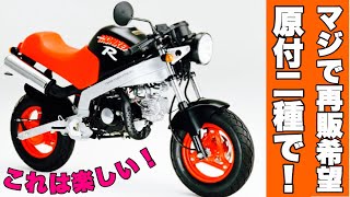 【旧車】国産オートバイのカタログ紹介！第79回はホンダ「モンキーR」：まだ兄弟機種である「モンキーRT」が出る前、ソロデビュー時のカタログをご紹介！：honda monkey R