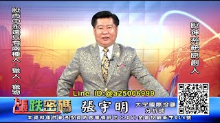 20200813 2200 張宇明 漲跌密碼