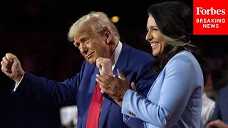 BREAKING NEWS: Tulsi Gabbard's Nomination For DNI Advances In The Senate