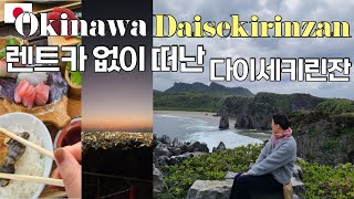 🌴OKINAWA DAISEKIRINZAN | (오키나와 EP3) | 렌트카 없이 떠난 다이세키린잔 국립공원 투어 | 오키나와 천혜의 국립공원 | 오키나와관광지 |  야키니꾸 부치