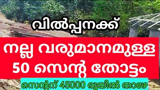 50 സെൻ്റ വരുമാനമുള്ള തോട്ടം തുഛമായ വിലയിൽ വിൽപ്പനക്ക് Ph 9895586607