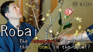 Ikebana Lesson | How To Arrange Moribana Using The Robai