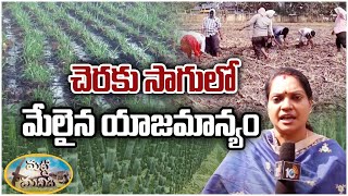 చెర‌కు సాగులో మేలైన యాజ‌మాన్యం | Farming Techniques Of Sugarcane Crop | Matti Manishi | 10TV News