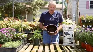 Potting with Daddy Pete's Organic Fertilizer