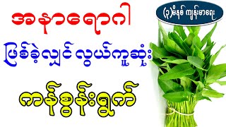 အနာရောဂါဖြစ်ခဲ့လျှင် လွယ်ကူဆုံး ကန်စွန်းရွက်၊ Health benefit of water spinach