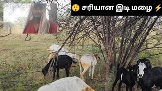 சரியான!! இடி, மழையில மாட்டிக் கிட்டோம்😲💧| We got caught in a perfect storm 😧⚡