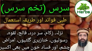 Benefits of Tukhme Sars | Saras ke Fayde | سرس کے فائدے | شرینڑ | Hakeem Zia ur Rehman