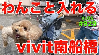 カートやキャリーバッグでわんこと一緒にお買い物に行けるvivit南船橋